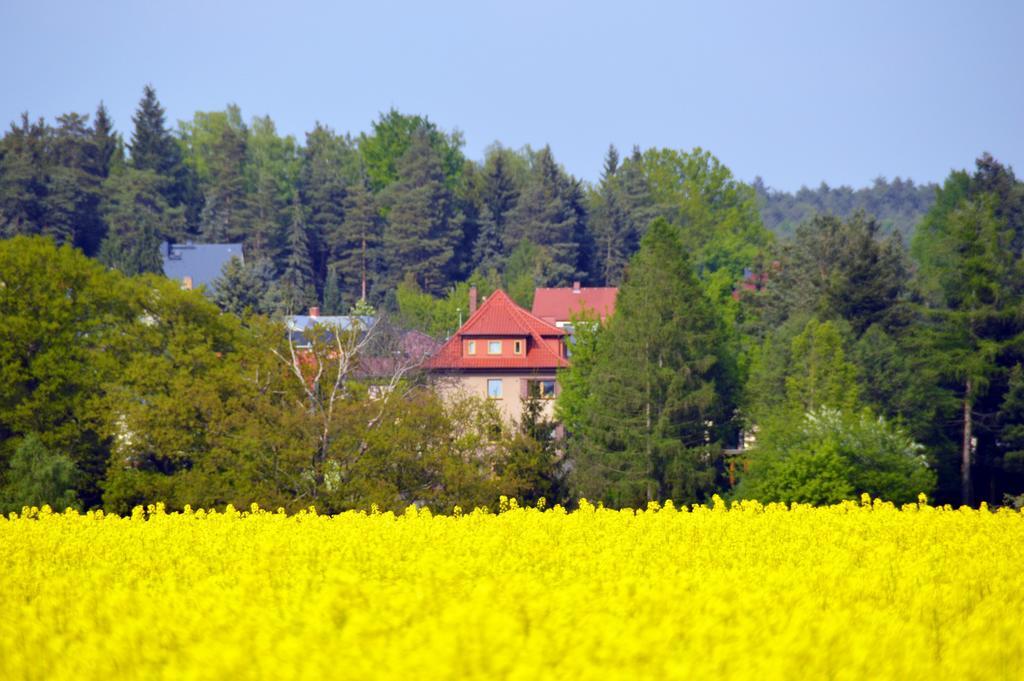 Ferienwohnung Deutschmann Dahlen Quarto foto